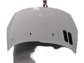 Motorhaube