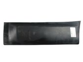 Rear door trim (molding)