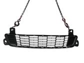 Front bumper lower grill