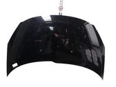 Motorhaube