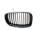Front bumper upper radiator grill