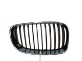Front bumper upper radiator grill
