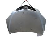 Engine bonnet/hood
