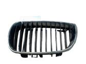 Front bumper upper radiator grill