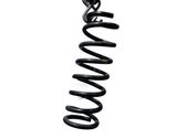 Rear coil spring