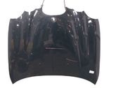 Motorhaube