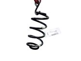 Rear coil spring