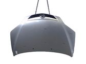 Engine bonnet/hood