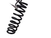 Rear coil spring