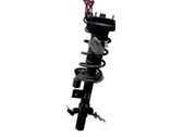 Rear shock absorber/damper