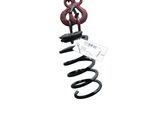 Rear coil spring