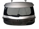 Tailgate/trunk/boot lid