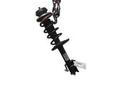 Front shock absorber/damper