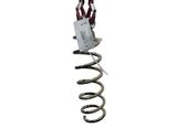 Rear coil spring
