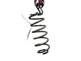 Rear coil spring