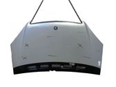 Engine bonnet/hood
