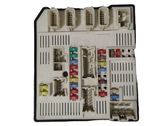 Fuse module