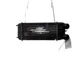 Intercooler radiator