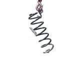 Rear coil spring