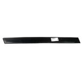 Rear door trim (molding)