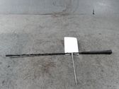 Radion antenni