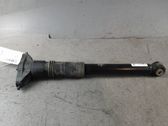 Stoßdämpfer hinten