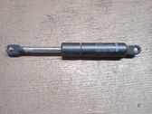 Tailgate/trunk strut/damper