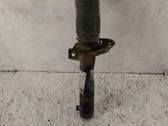 Front shock absorber/damper