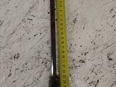 Tailgate/trunk strut/damper