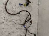 Front door wiring loom