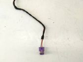 Other wiring loom