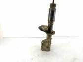 Front shock absorber/damper