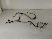 Other wiring loom