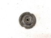 Coil spring mount