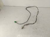 Rear ABS sensor wiring