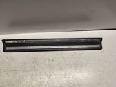 Front sill trim cover