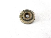 Coil spring mount