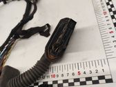Front door wiring loom