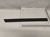 Rear door trim (molding)