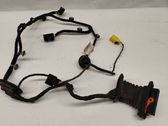 Front door wiring loom