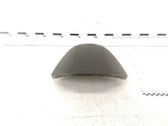 Dashboard trim