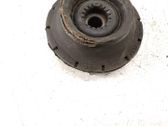 Coil spring mount