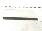 Rear door trim (molding)