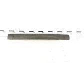 Front bumper splitter molding