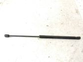 Front bonnet/hood damper/strut