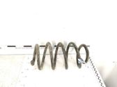 Rear coil spring