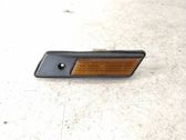 Front fender indicator light