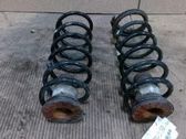 Muelle espiral trasero