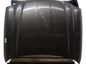 Engine bonnet/hood