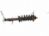 Front shock absorber with coil spring
